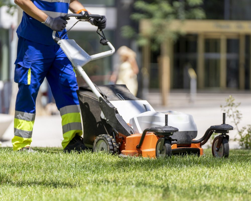 Lawn sanitation cutting with machine